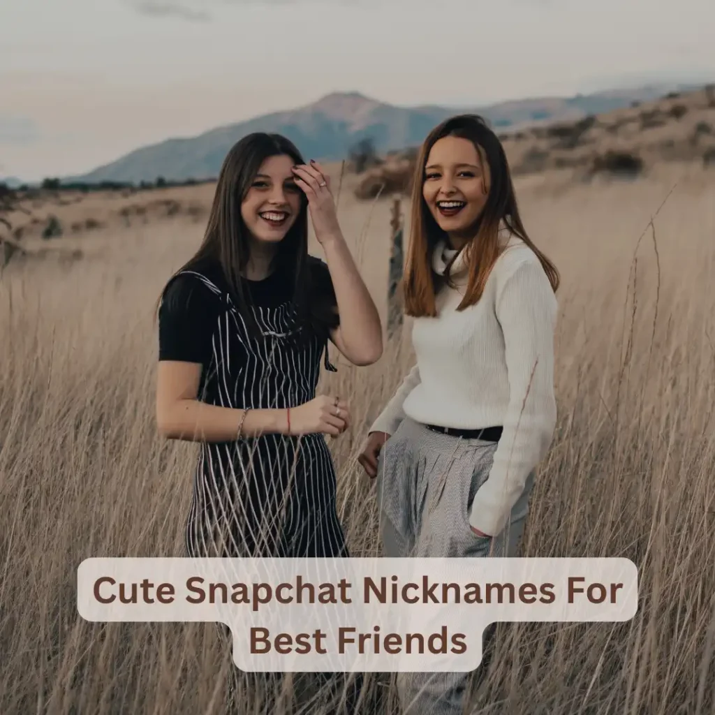 Cute Snapchat Nicknames For Friends