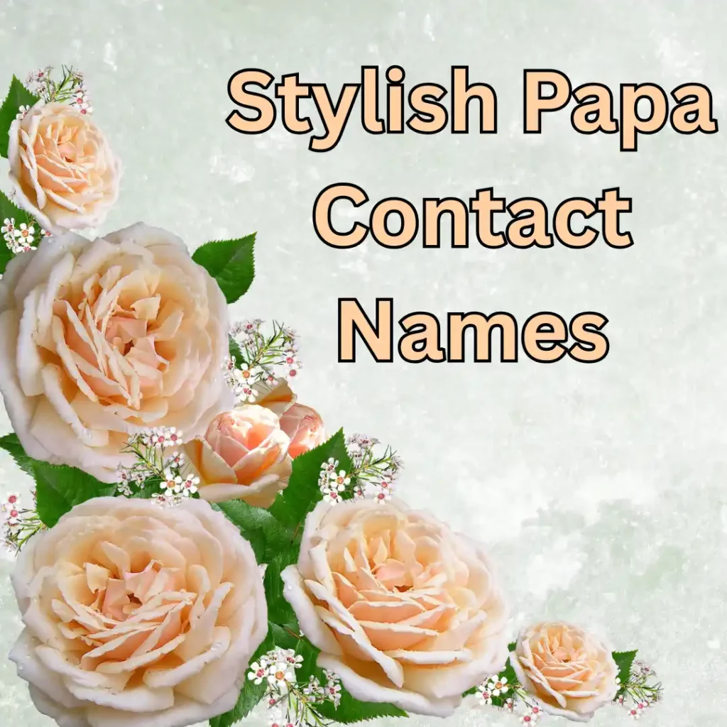 Stylish Papa Contact Names
