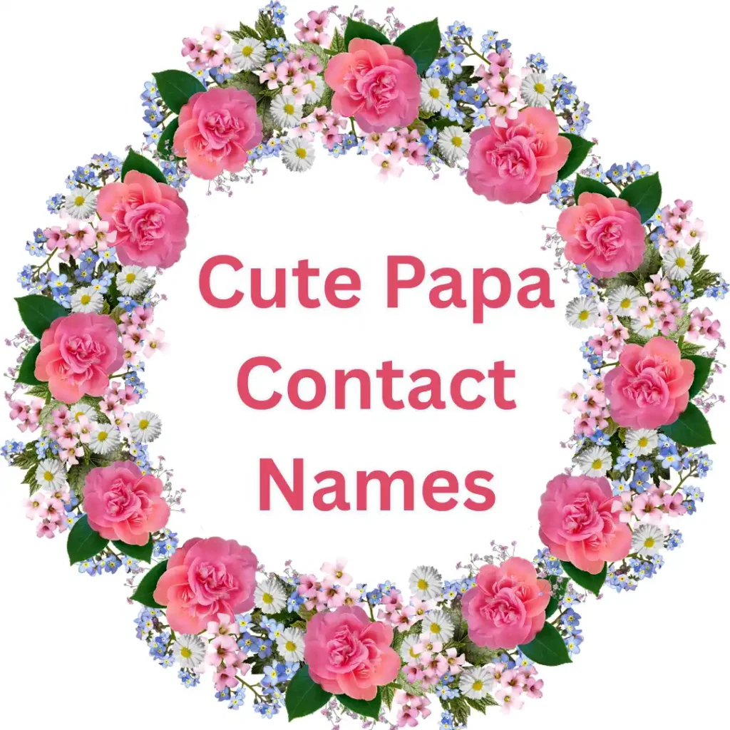 Cute Papa Contact Names