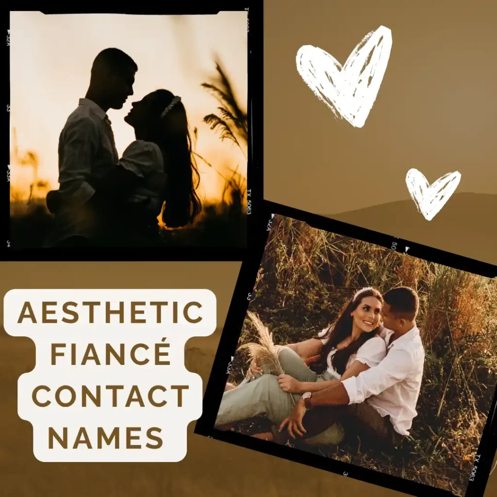  Aesthetic Fiancé Contact Names 