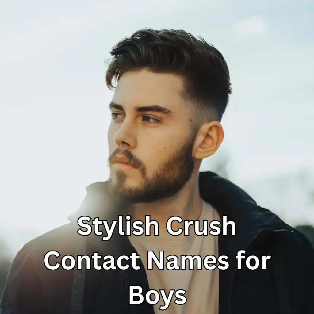 Stylish Crush Contact Names for Boys