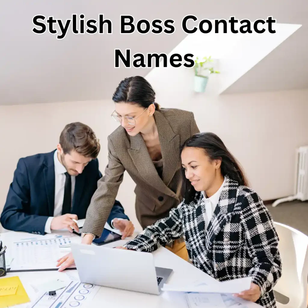 Stylish Boss Contact Names